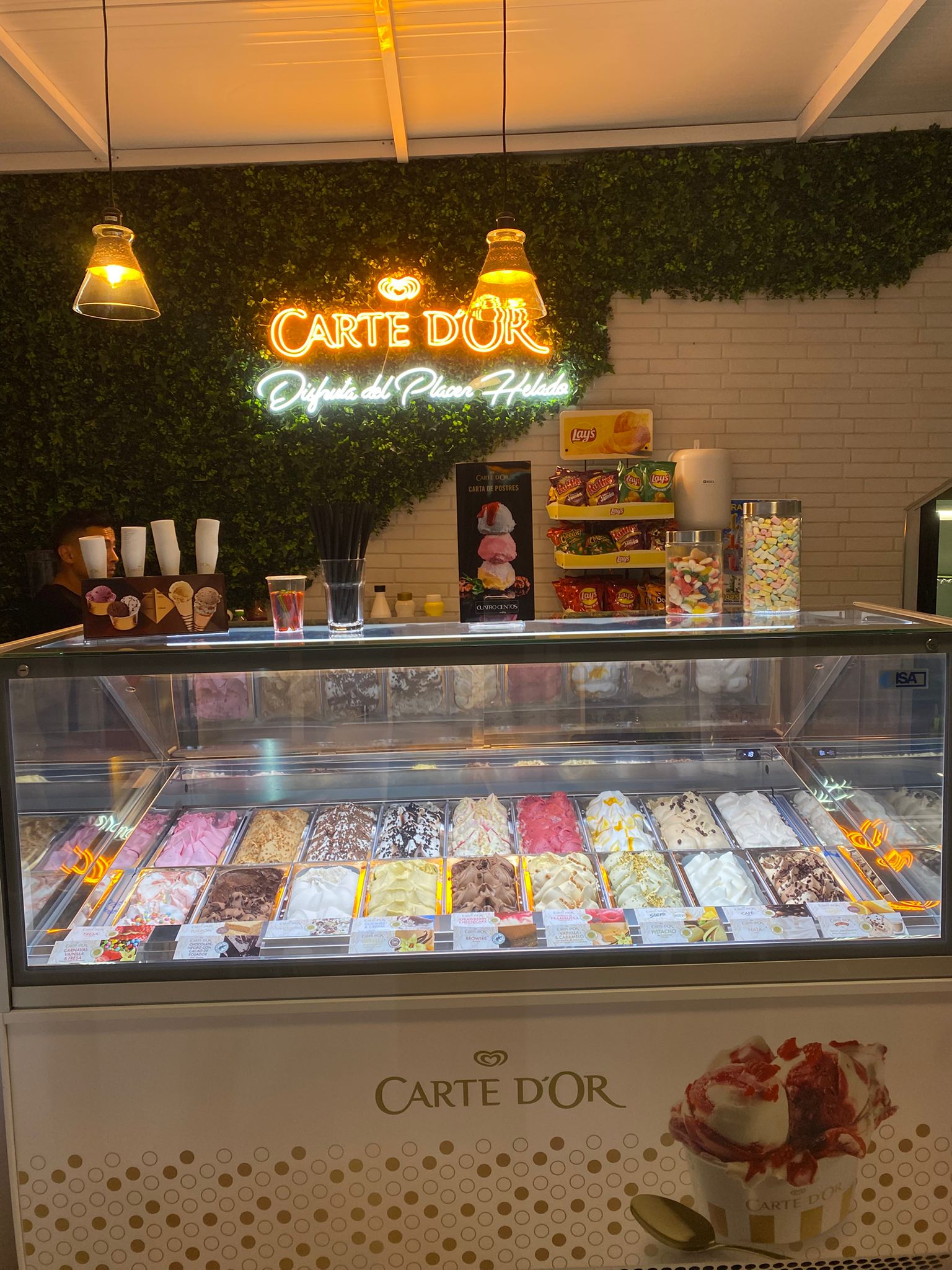 Vitrina de helados con más de veinte cubetas y la pared de hiedra al fondo